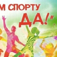 Канал Спортшкола Морозовского района в мессенджере MAX — 231 подписчик