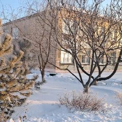 Канал МБОУ Владимировская СОШ в мессенджере MAX — 214 подписчиков