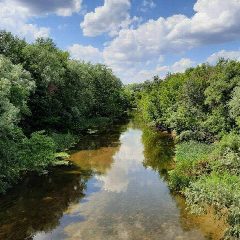 Канал Администрация Ефремово-Степановского сельского поселения в мессенджере MAX — 25 подписчиков