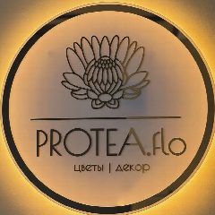 Канал PROTEA.flo в мессенджере MAX — 30 подписчиков