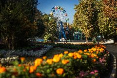 Канал МАУ "ЦКДД" в мессенджере MAX — 56 подписчиков
