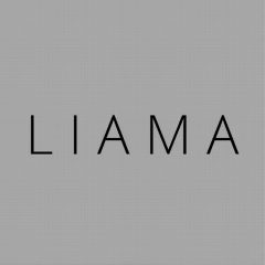 Канал Liama в мессенджере MAX — 45 подписчиков