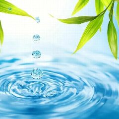Канал Маркет Воды в мессенджере MAX — 42 подписчика