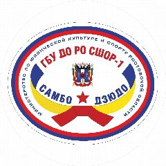 Канал ГБУ ДО РО СШОР №1 в мессенджере MAX — 50 подписчиков