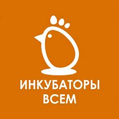 Канал ИНКУБАТОРЫ ВСЕМ: инкубаторы, инкубационное яйцо,суточная птица. в мессенджере MAX — 434 подписчика