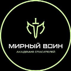Канал Мирный Воин в мессенджере MAX — 367 подписчиков