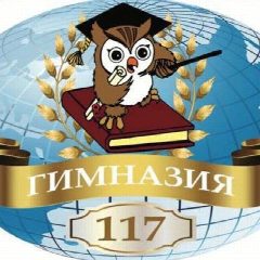 Канал МБОУ "Гимназия №117" в мессенджере MAX — 1 196 подписчиков