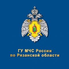 Канал МЧС Рязанской области в мессенджере MAX — 597 подписчиков