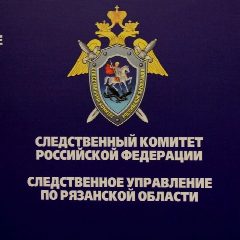 Канал Следком 62 в мессенджере MAX — 301 подписчик