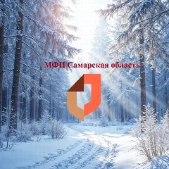 Канал МФЦ Самарская область в мессенджере MAX — 3 802 подписчика