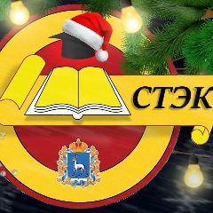 Канал ГБПОУ "Самарский торгово-экономический колледж" в мессенджере MAX — 1 110 подписчиков