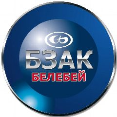 Канал БЗАК Автокомпоненты в мессенджере MAX — 80 подписчиков