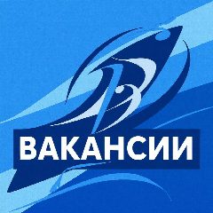 Канал Работа в России в мессенджере MAX — 100 подписчиков