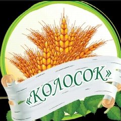 Канал МДОУ "ЦРР - детский сад "КОЛОСОК" с.Ивантеевка" в мессенджере MAX — 82 подписчика