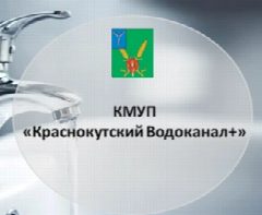 Канал КМУП "Краснокутский Водоканал+" в мессенджере MAX — 70 подписчиков