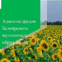 Канал Администрация Белоярского МО в мессенджере MAX — 64 подписчика