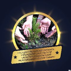 Канал Новобурасский лесопитомник в мессенджере MAX — 13 подписчиков
