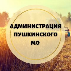 Канал Администрация Пушкинского муниципального образования в мессенджере MAX — 121 подписчик