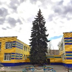 Канал МАДОУ ДЕТСКИЙ САД 23 в мессенджере MAX — 114 подписчиков