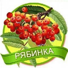 Канал МДОУ д/с "Рябинка" г. Балашова в мессенджере MAX — 111 подписчиков