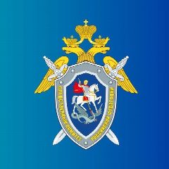 Канал Следком 64 в мессенджере MAX — 598 подписчиков