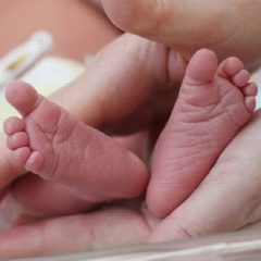 Канал Суррогатное материнство МИРСУРМАМ в мессенджере MAX — 365 подписчиков