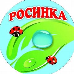 Канал МДОУ "Детский сад комбинированного вида №221 "Росинка" в мессенджере MAX — 120 подписчиков