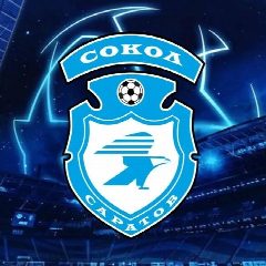 Канал СШОР "Сокол" в мессенджере MAX — 396 подписчиков