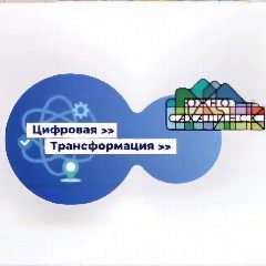 Канал Цифровой Южно-Сахалинск в мессенджере MAX — 35 подписчиков