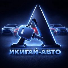 Канал ИКИГАЙ АВТО (авто из Китая, Кореи и Японии) в мессенджере MAX — 173 подписчика