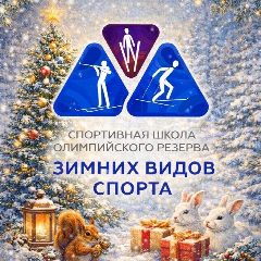 Канал Спортивная школа зимних видов спорта в мессенджере MAX — 118 подписчиков