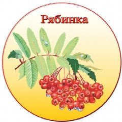 Канал МАДОУ № 14 «Рябинка» г. Южно-Сахалинска в мессенджере MAX — 160 подписчиков