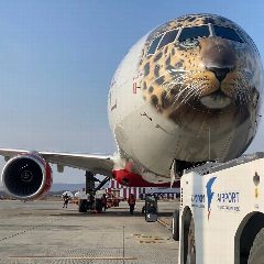 Канал Аэропорт «Южно-Сахалинск» в мессенджере MAX — 982 подписчика