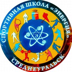 Канал Спортивная школа "Энергия" в мессенджере MAX — 46 подписчиков
