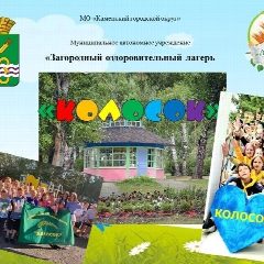 Канал МАУ "ЗОЛ "Колосок" в мессенджере MAX — 144 подписчика
