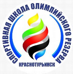 Канал МБУ ДО "Спортивная школа Олимпийского резерва" в мессенджере MAX — 38 подписчиков