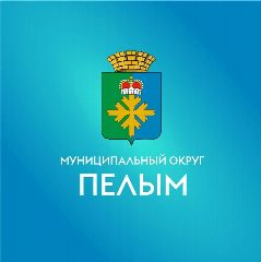 Канал Ревизионная комиссия МО Пелым в мессенджере MAX — 24 подписчика