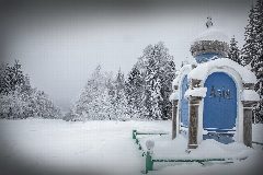 Канал Кушвинское лесничество в мессенджере MAX — 12 подписчиков