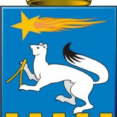 Канал Нижняя Салда-НОВОСТИ в мессенджере MAX — 260 подписчиков