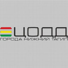 Канал ЦОДД города Нижний Тагил в мессенджере MAX — 31 подписчик