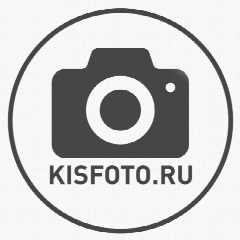 Канал KISFOTO.RU в мессенджере MAX — 813 подписчиков