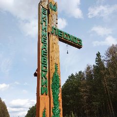Канал ГКУ СО Билимбаевское лесничество в мессенджере MAX — 37 подписчиков