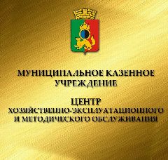 Канал МКУ ЦХЭМО в мессенджере MAX — 95 подписчиков