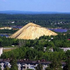 Канал Управление культуры и спорта муниципального округа Дегтярск в мессенджере MAX — 21 подписчик