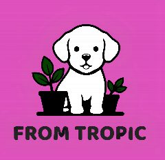 Канал Из тропиков / from tropic в мессенджере MAX — 318 подписчиков
