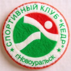 Канал Спортивный клуб «Кедр» Новоуральск в мессенджере MAX — 222 подписчика