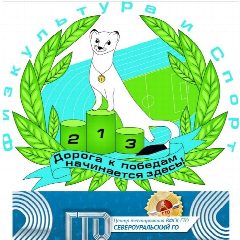 Канал МАУ "Физкультура и Спорт" г. Североуральск в мессенджере MAX — 100 подписчиков