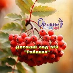 Канал МКДОУ №3 д/с "Рябинка" п. Бисерть в мессенджере MAX — 126 подписчиков