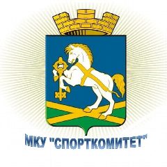 Канал МКУ "СПОРТКОМИТЕТ" Дружининского городского поселения в мессенджере MAX — 16 подписчиков