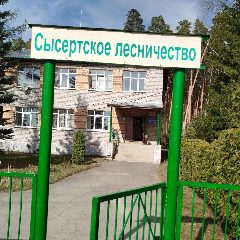 Канал ГКУ СО "СЫСЕРТСКОЕ ЛЕСНИЧЕСТВО" в мессенджере MAX — 25 подписчиков